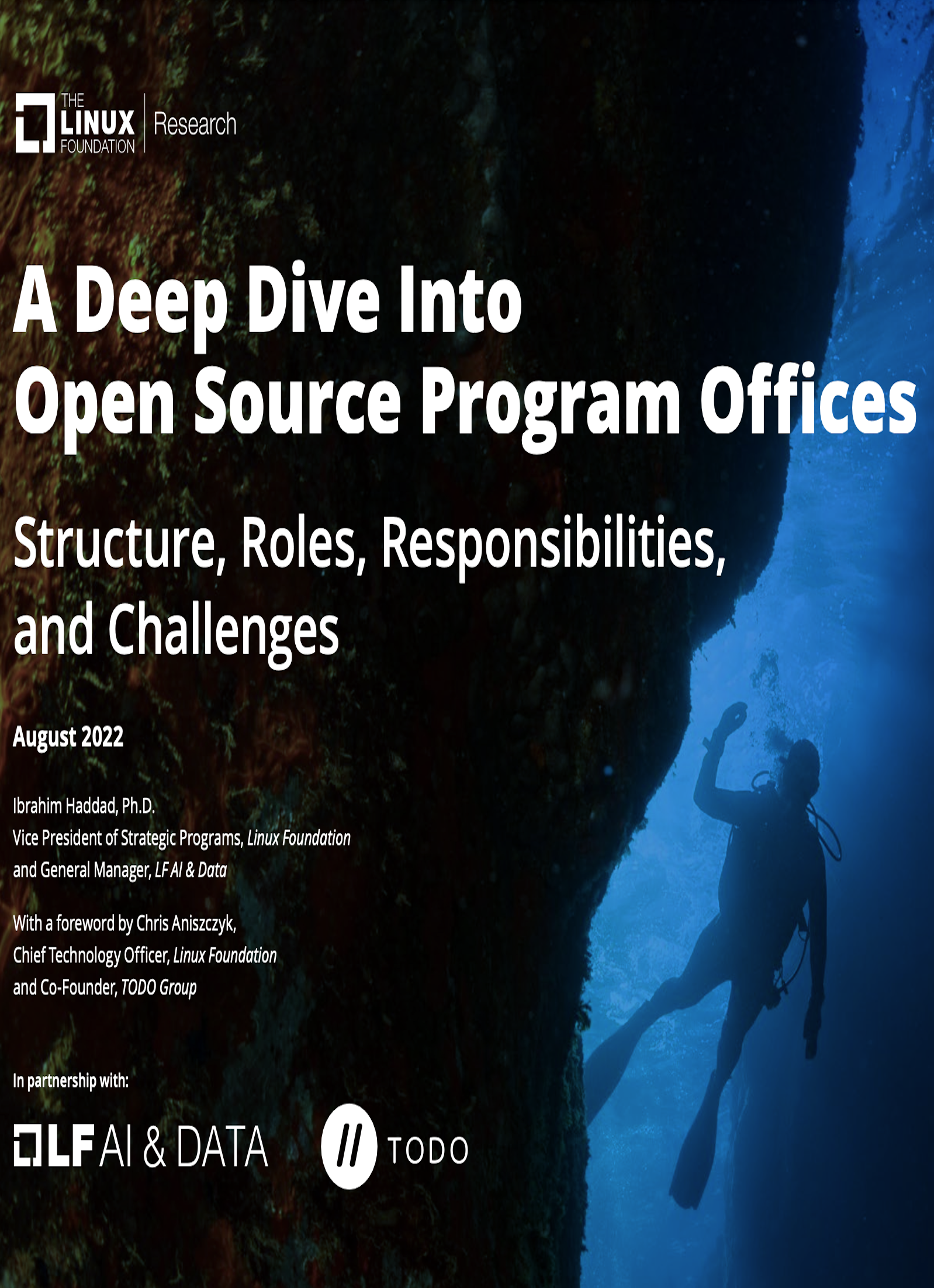 A Deep Dive into Open Source Program Offices